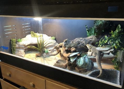 Bearded Dragon Tank Setup, Bearded Dragon Setup, Diy Bearded Dragon Enclosure, Bearded Dragon Vivarium, Bearded Dragon Terrarium Ideas, Indoor Rabbit Cage, Bearded Dragon Diy, Bearded Dragon Terrarium, Bearded Dragon Enclosure