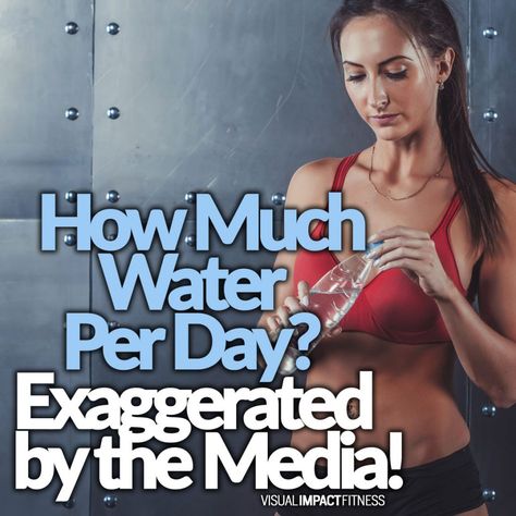 How Much Water Per Day Exaggerated by the Media! 1 Meal A Day, Glasses Of Water, Water Per Day, Average Person, Water Intake, Drink More Water, Weights For Women, Fitness Articles, More Water