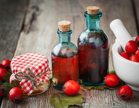 How to Make Hawthorn Berries Extract & Use #hawthorn #hawthornuses #hawthornbenefits #hawthornberry #hawthornberries #hawthornfruits #hawthorntree #hawthorntincture #hawthornextract #hawthornremedies Herbal Syrups, Hawthorn Berries, Mother Earth Living, Hawthorn Berry, Herbal Recipes, Holistic Remedies, Aromatic Herbs, Healing Herbs, Medicinal Herbs