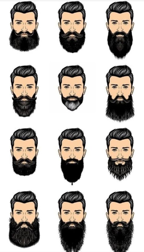 Men's Beard Styles, Viking Beard Styles, Beard Ideas, Face Stamp, Haircut Names For Men, Long Beard Styles, Real Men Real Style, Bald Men Style, Hair Facts