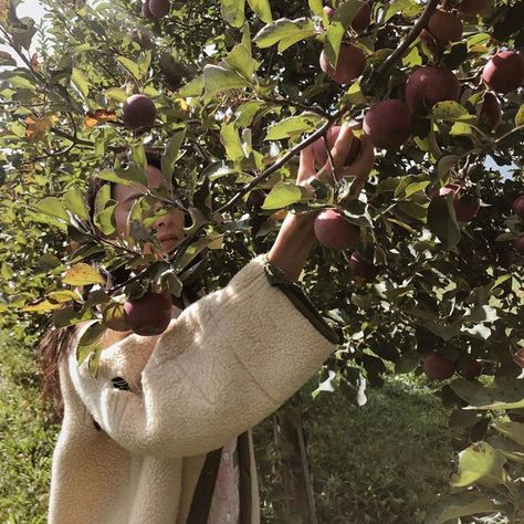 Ludlow Shop By Madison Ludlow (@theludlowshop) posted on Instagram: “@brass__tacks in ludlow 🌿” • Oct 6, 2020 at 4:24pm UTC Brass Tacks, Hello Autumn, Burlap Bag, Reusable Tote Bags, Brass, Tote Bag, On Instagram, Instagram