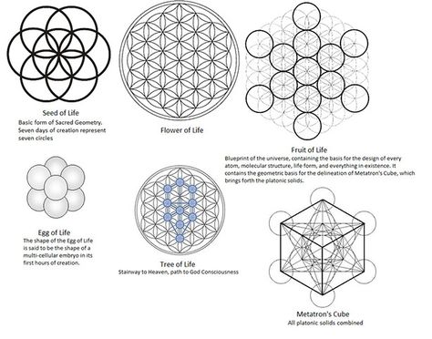 Stages of Sacred Geometry , seed of life , flower of life , fruit of life , egg of life , tree of life , metatrons cube www.orgonitecity.org Egg Of Life, Tree Of Life Logo, Scared Geometry, Flower Of Life Tattoo, Healing Symbols, Sacred Geometry Patterns, Life Flower, Sacred Geometry Symbols, Metatron's Cube