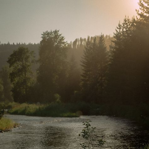 Augustcore Aesthetic, Forest Core, Golden Hour Photography, Golden Hour, North West, Idaho, Photographer, Quick Saves