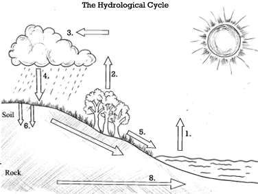 blank water cycle wks Water Cycle Craft, Water Cycle For Kids, Water Cycle Diagram, Hydrological Cycle, Water Cycle Activities, Water Cycle Worksheet, Beaufort Scale, Cycle Drawing, Nutrient Cycle