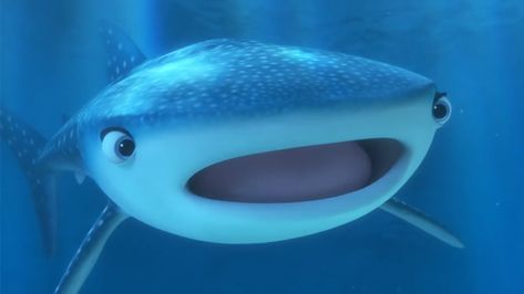 This fascinating, filter-feeding species will finally get its close-up in this summer's Finding Dory. Here are a few things you might not have known about the world's largest fish. Whale Shark Gif, Baby Whale Shark, Whale Shark Cute, Shark Party Invitations, Shark Gif, Silly Sharks, Whale Facts, Shark Whale, Shark Themed Party