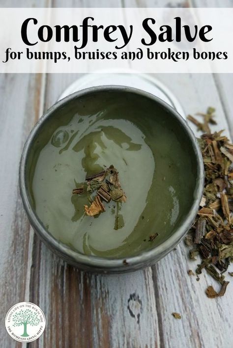 Making Salves, Herbs To Heal, Apothecary Recipes, Herbal Crafts, Heal Broken Bones, Comfrey Salve, Ancient Remedies, Natural Things, Herbal Salves