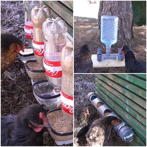 MetDaan DIY - 3 Easy DIY Chicken Feeder Aesthetic Farm Animals, Easy Diy Chicken Feeder, Chicken Feed Diy, Farm Life Aesthetic, Diy Chicken Feeder, Pet Chickens Breeds, Chicken Waterer Diy, Chicken Water Feeder, Aesthetic Farm