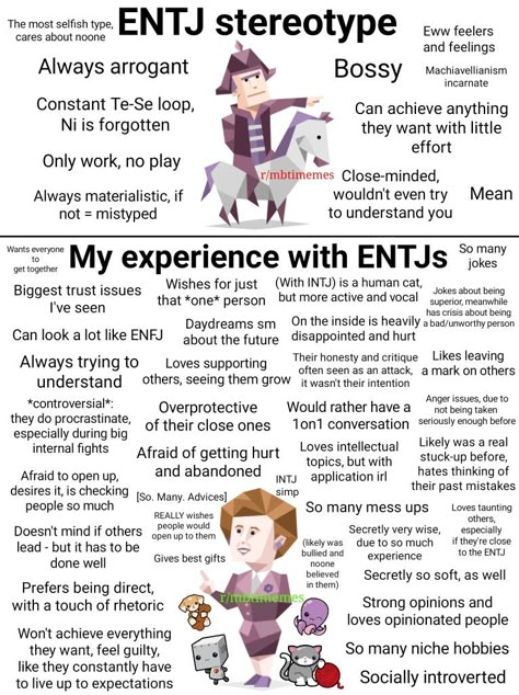 Entj Stereotypes, Entp X Entj Relationship, Mbti Stereotypes Vs Reality, Entj Personality Characters, Entj Girl, Entj Characters, Mbti Analysis, Entj Core, Entj Art