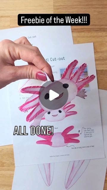 Axolotl Art Project, Diy Axolotl Crafts, Easy Axolotl Drawing, Axolotl Crafts For Kids, Draw An Axolotl, Diy Axolotl, Mexico Activities, Axolotl Care, Style Writing