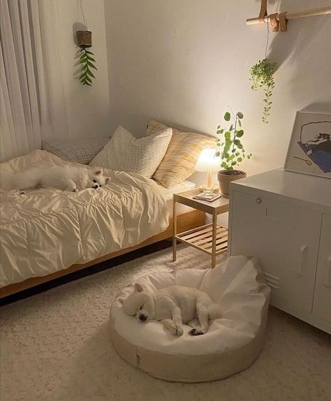 Aesthetic Small Bedroom Ideas Minimalist, Bedroom Ideas Soft Aesthetic, Big Room Ideas Aesthetic Minimalist, Uc Dorm Room Ideas, Carpeted Floors Bedroom, Soft Minimalist Aesthetic Bedroom, Cute White Furniture, Bedroom Soft Aesthetic, Minimalist Cute Bedroom