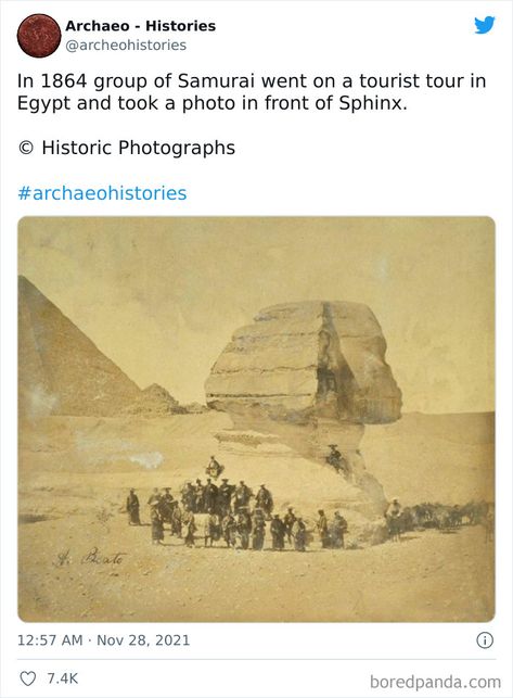 The Sphinx, An Open Book, History Facts Interesting, History Nerd, Internet Culture, History Art, Historical Facts, Interesting History, The More You Know