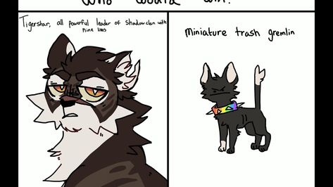 Warriors Memes, Warrior Cats Funny, Warrior Cat Memes, Warrior Cats Comics, Warrior Cats Series, Cats Tumblr, Who Would Win, Warrior Cats Books, Warrior Cats Fan Art