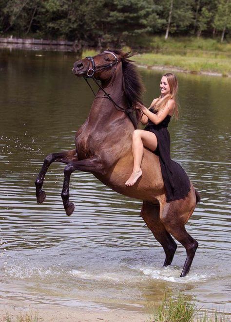 Woman Riding Horse, Wilde Westen, Most Beautiful Horses, Appaloosa, Pretty Horses, Quarter Horse, Horse Photography, Horse Pictures, Horse Love