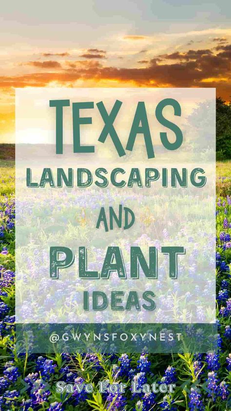 Landscaping Ideas for Texas home Texas Flowers Garden Ideas, Flower Mound Texas, Central Texas Landscaping Front Yards, Landscape Ideas Texas, Texas Garden Ideas Landscape Design, South Texas Landscaping Ideas, Texas Backyard Landscaping, Texas Landscaping Ideas, Texas Native Plants Landscaping