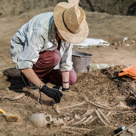 Archeologists excavating human skeleton remains 20s Aesthetic, Archaeology Dig, Finding The Right Career, Forensic Anthropology, History Major, Into The West, Diploma Courses, Center Of Excellence, Dream Career