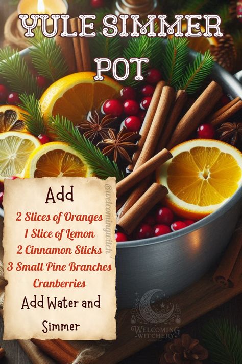 Yule Cider, Winter Solstice Simmer Pot, Yule Simmer Pot Recipes, Yule Gift Ideas, Yule Dinner Recipes, Yule Recipes Pagan, Yule Herbs, Yule Simmer Pot, Yule Dinner