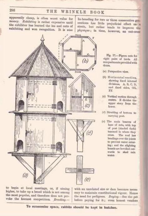 Birdhouse Plans, Dove House, Pigeon House, Homemade Bird Houses, Bird Tables, Garden Birdhouses, Bird House Plans, Birdhouse Designs, Bird Houses Diy