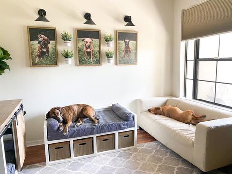 Dog Bed Raised Diy, Dog Friendly Apartment Decor, Tv Stand Dog Bed, Dog Hangout Space, Dog Play Room Design, Office Dog Room Combo, Dog Basement Room, Dog Room Office Combo, Dog Area Ideas Indoor