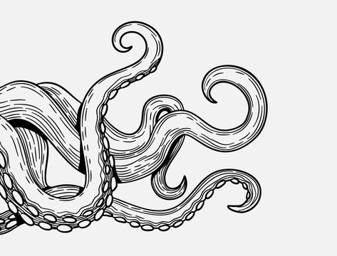 Tentacle Sketch, Octopus Tentacles Drawing, Octopus Sketch, Octopus Graphic, Octopus Drawing, Art Notes, Octopus Tattoo Design, Octopus Tattoos, Sea Life Art