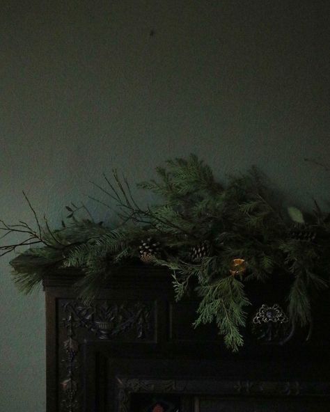 Natal, Moody Christmas Aesthetic Wallpaper, Gloomy Christmas Aesthetic, Dark Holiday Aesthetic, Dark Xmas Aesthetic, Scary Christmas Aesthetic, Christmas Flowers Aesthetic, Dark Victorian Christmas, Creepy Christmas Aesthetic