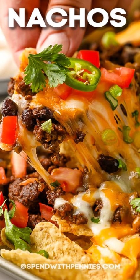 Basic Nachos Recipe, Best Nachos Recipe, Easy Nachos Recipe Beef, Nachos Supreme Recipe, The Best Nachos, Best Nacho Recipe, Best Nachos, Nachos Recipe Beef, Nachos Supreme