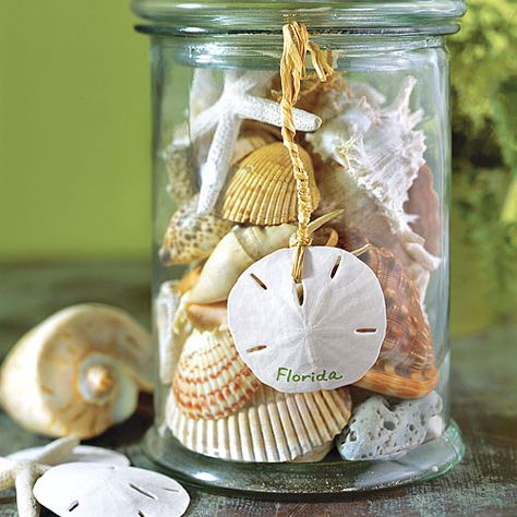 Seashell Crafts, Shell Display, Deco Marine, She Sells Seashells, Sea Shell Decor, Beachy Decor, Shell Decor, Decorated Jars, Beach Crafts