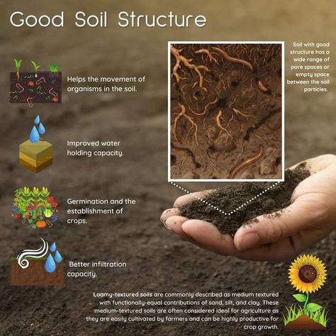 Permaculture, Biodynamic Gardening, Soil Science, Basic Anatomy And Physiology, Household Plants, Starting A Vegetable Garden, Agriculture Education, Organic Soil, Plant Science