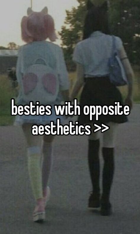 Best Friends With Opposite Aesthetics, Best Friend Opposites, Opposite Best Friends Aesthetic, Polar Opposites Friends, Opposite Friends Aesthetic, Us Core Best Friends, Opposite Aesthetic Friends, Opposite Besties, Opposites Aesthetic