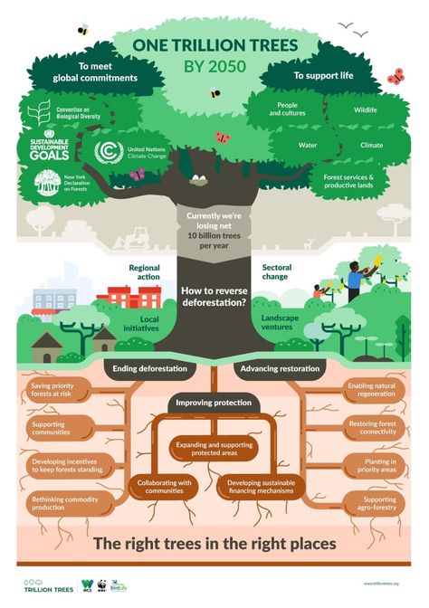 Trillion trees could impact climate change Info Poster, Infographic Inspiration, Sustainable Community, Sustainable Energy, Environmental Science, Sustainable Lifestyle, Earth Science, Data Visualization, Infographic Design