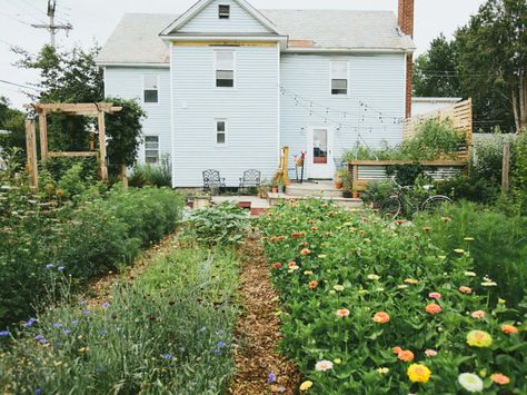 3 Ways To "Rewild" Your Home Garden To Support Biodiversity Rows Of Flowers, Eco Garden, Burlington Vermont, Perennial Border, Natural Pest Control, Cut Flower Garden, Backyard Farming, Community Gardening, Small Changes