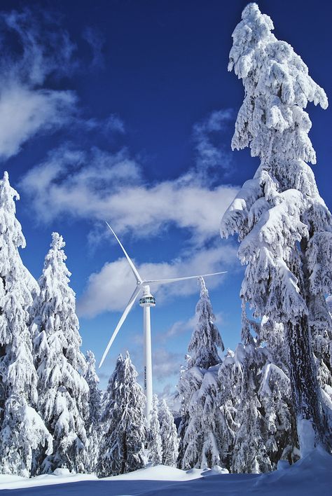 Grouse Mountain, Ski Hill, Snow Mountains, Vancouver Bc Canada, Studio Ghibli Art, North Vancouver, Ghibli Art, Snow Mountain, Bc Canada