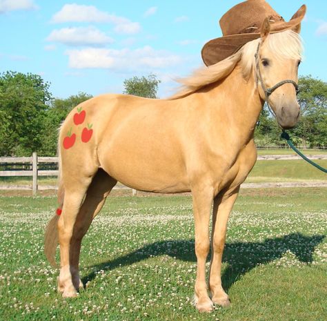 Real Life Applejack Horse Halloween Costumes, Apple Jack, Horse Costumes, Pony Unicorn, Pony Party, Princess Celestia, Mlp My Little Pony, Cute Horses, Friendship Is Magic