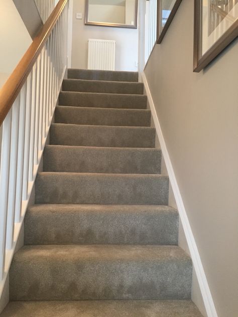 Grey Carpet On Stairs And Landing, Grey Hallway Carpet, Beige Carpet Stairs And Landing, Beige Walls Grey Carpet, Hall Stairs And Landing Carpet, Grey Carpet Beige Walls, Grey Carpet Green Walls, Beige Carpet Stairs, Grey Carpet Stairs