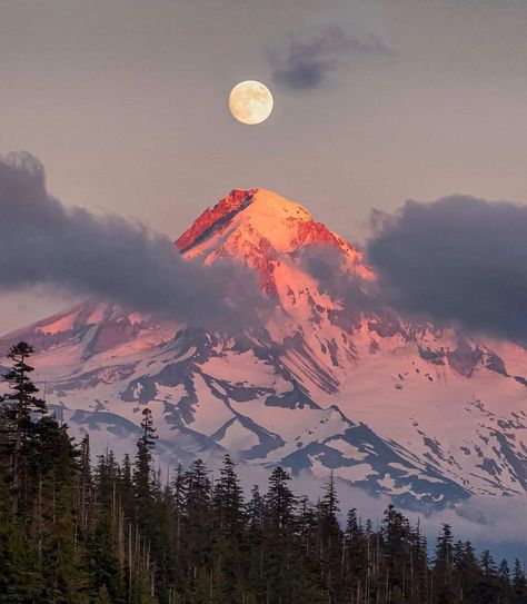 #moonlit #MountHood World Photography Day, Oregon Photography, Mount Hood, Photography Day, Mt Hood, Pretty Landscapes, Beautiful Evening, Nature Aesthetic, Pretty Places