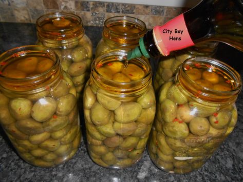 Pickled Seafood, Curing Olives, Homestead Recipes, Pickled Olives, Olive Brine, Canning Kitchen, Fresh Olives, Marinated Olives, Brine Recipe