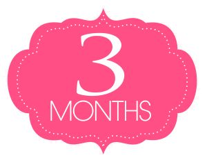 Three Months – brittanymariereads Six Month Old Baby, Childrens Poems, Social Emotional Development, Oracle Card Reading, 6 Month Old Baby, Baby Care Tips, Old Signs, Laugh At Yourself, 9th Month