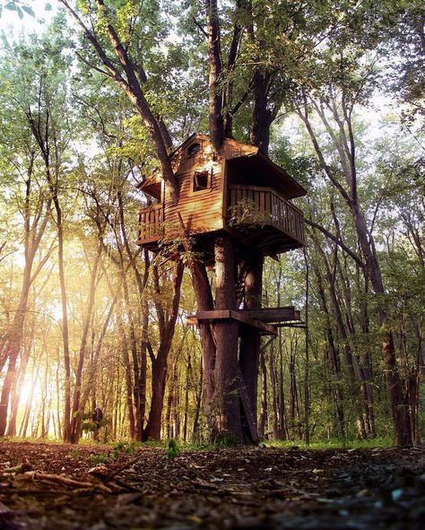 See this Instagram photo by @cabinlove • 11.8k likes Beautiful Tree Houses, Tree House Diy, Cool Tree Houses, Tiny House Cabin, Small Houses, Little Cottage, Forest House, Cabins In The Woods, Small Trees