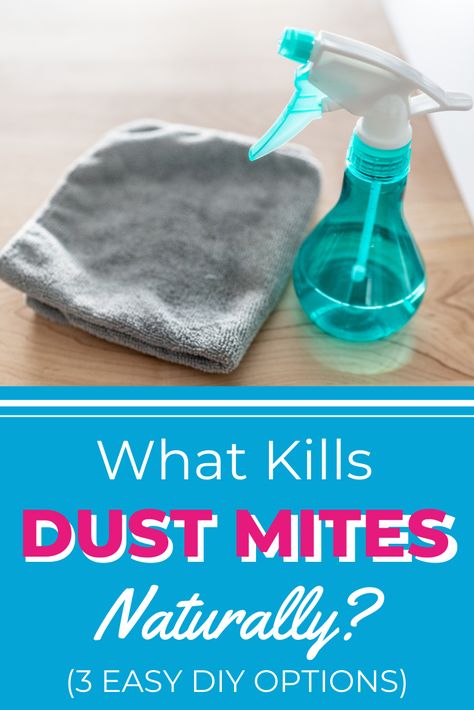 Ever wondered what dust mites are? Or how to get rid of dust and dust mites for good? In this article, we answer all your questions on the topic, including whether dust mites can live in hair. Allergy Remedies, Dust Mite Allergy Remedies, Dust Mite Spray, Kill Mold, Dusting Tips, Dust Mite Allergy, Dusting Spray, Dust Allergy, Damage Hair