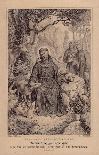 St Francis Of Assisi Animals, Francis Of Assisi Art, Francis Assisi, Cloud Of Witnesses, St Francisco, St Francis Assisi, Roman Catholic Art, Catholic Aesthetic, Saint Francis Of Assisi