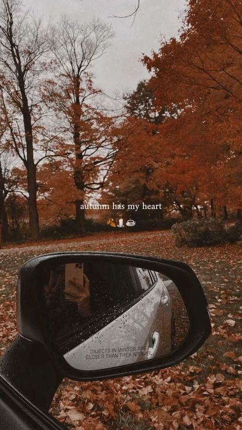 pri ◠ autumn’s mum 🍂 (@autumns.mum) • Instagram photos and videos Aesthetic Autumn Pics, Fall Aesthetic Instagram Story, Cozy Instagram Stories, Autumn Ig Story, Fall Story Instagram, Autumn Story Instagram, Autumn Leaves Song, Fall Instagram Stories, Warm Autumn Aesthetic