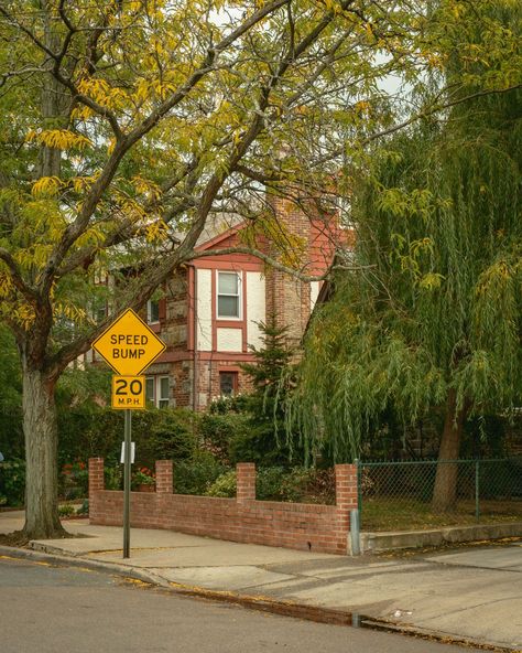 Trees in Rego Park, Queens, New York Rego Park, Rail Transport, Queens New York, Hotel Motel, White Car, Posters Framed, Image House, Gas Station, City Skyline