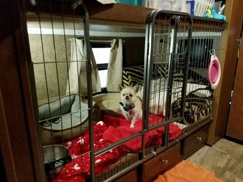 Have a camper but no kids just pets?? Well then turn the bunk bed into a kennel/bed for your beloved pets Dog Crate Under Bed, Camper Bunk Bed Ideas, Rv Living With Kids, Camper Bunk Beds, Portable Dog Fence, Rv Cat, Rv Dog, Rv Pet, Camper Dog