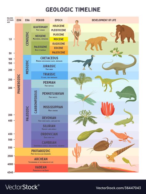 Biology Lessons, Montessori, Geologic Time Scale, الكوارث الطبيعية, Timeline Images, History Of Earth, Teaching Geography, Scale Drawing, Flat Vector Illustration