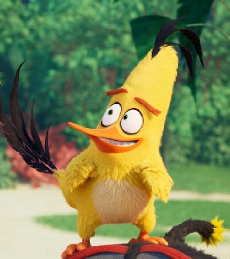 Cartoon Shows Aesthetic, Angry Birds Aesthetic, Chuck Angry Birds Icon, Chuck From Angry Birds, Angry Birds Chuck, Angry Brids, Yellow Angry Bird, Chuck Angry Birds, The Angry Birds Movie 2