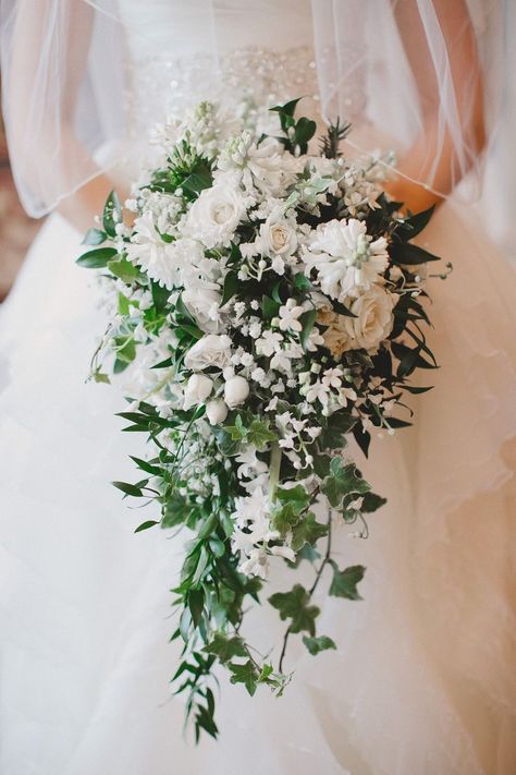 Cascading bouquet. Pictured: Bouvardia, Lilly of the Valley, Hyacinth, Spray Rose, Baby's Breath, Ivy, Italian Ruscus. By Fache Floral Designs, #wedding #flowers #brides #floral #women's #weddingideas #bridesmaid Spray Bouquet, Trailing Bouquet, Cascading Bouquet, Cascading Bridal Bouquets, Italian Ruscus, Cascading Wedding Bouquets, Rose Wedding Bouquet, Cascade Bouquet, White Wedding Bouquets