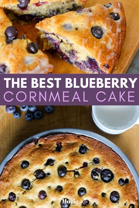 blueberry cornmeal cake. blueberry cornmeal cake skillet. lemon blueberry cornmeal cake. cornmeal cake recipes. cornmeal recipes. cornmeal muffins. blueberry cake recipe. blueberry cake recipes easy. blueberry cake mix recipes. blueberry cake aesthetic. easy dessert recipes. easy dessert swith few ingredients. easy desserts for a crowd. breakfast cake recipes. breakfast cakes easy.  breakfast cakes and breads. breakfast cake aesthetic. cake recipes from scratch. cake recipes easy. Blueberry Cake Mix Recipes, Blueberry Cake Aesthetic, Easy Blueberry Cake, From Scratch Cake Recipes, Scratch Cake Recipes, Crowd Breakfast, Blueberry Cake Recipe, Easy Desserts For A Crowd, Blueberry Cornbread