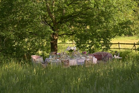 Wedding In A Meadow, Meadow Picnic, Wedding Meadow, Countryside Dress, Meadow Wedding, Wild Wedding, Grassy Meadow, Holly Wedding, Picnic Inspiration