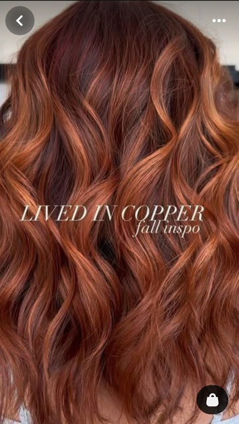 Copper Balayage Redheads, Red Copper Hair With Highlights, Copper Hair With High And Low Lights, Ginger Copper Balayage, Red To Copper Balayage, Red With Brown Roots, Auburn Hair With Lowlights Reddish Brown, Fall Red Hair Ideas, All Over Copper Hair Color