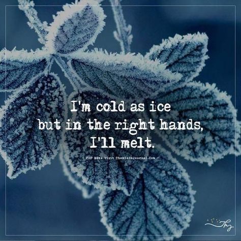 I'm cold without you, but I melt at the slightest touch of your fingers... Monday morning rituals. 1way@11🤔??? Snow Captions, Ice Quotes, Cold Quotes, Snow Quotes, Cold As Ice, Barbie Quotes, Bear Quote, Weather Quotes, Winter Quotes