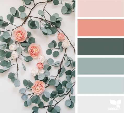 Color Palette For Home, Seeds Color, Color Schemes Colour Palettes, Design Seeds, Color Palette Design, Color Inspo, Colour Schemes, Color Pallets, Color Swatches